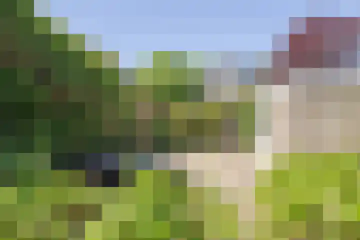 Prins Willem van Oranjelaan 15 Naarden thumbnail 28