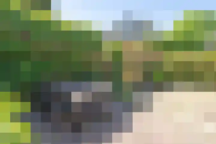 Prins Willem van Oranjelaan 15 Naarden thumbnail 29