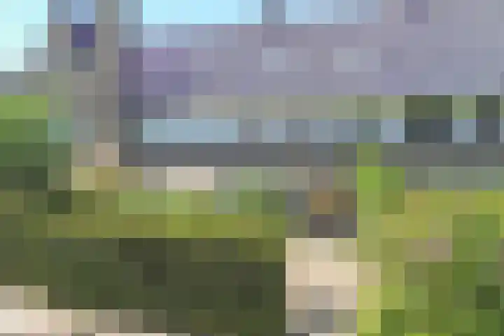 Prins Willem van Oranjelaan 15 Naarden thumbnail 32
