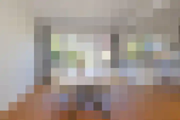 Prins Willem van Oranjelaan 15 Naarden thumbnail 7