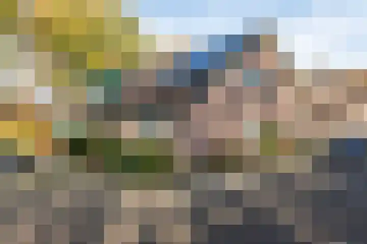 Prins Willemserf 3 Nunspeet foto 3