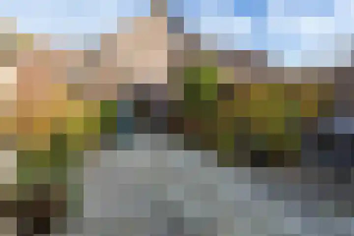 Prins Willemserf 3 Nunspeet thumbnail 36