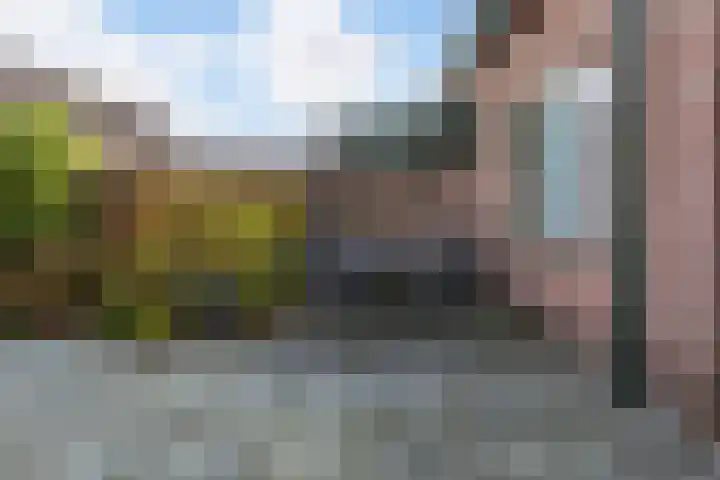Prins Willemserf 3 Nunspeet thumbnail 37