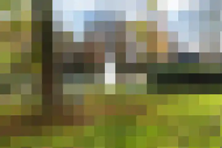 Prins Willemserf 3 Nunspeet thumbnail 47