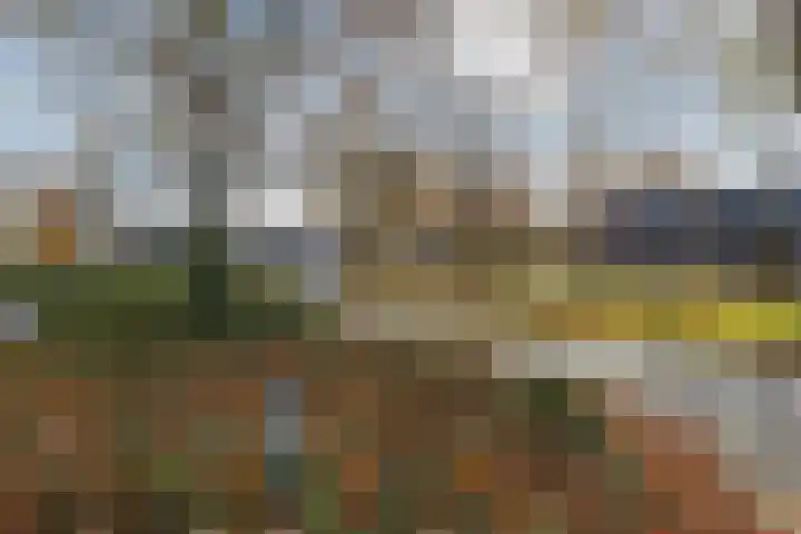 Prins Willemserf 3 Nunspeet thumbnail 48