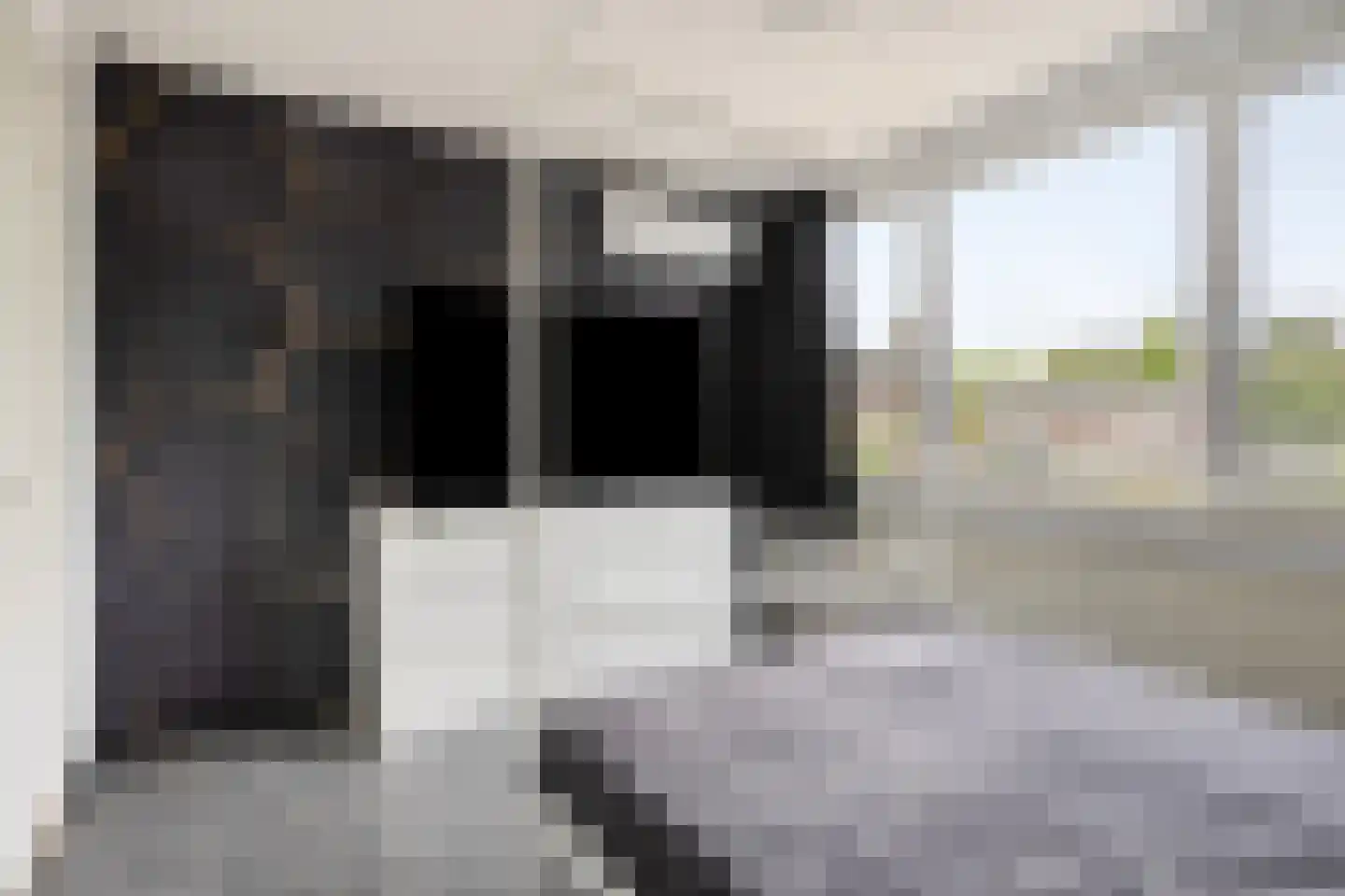 Prins Willemstraat 1 Assen thumbnail 18