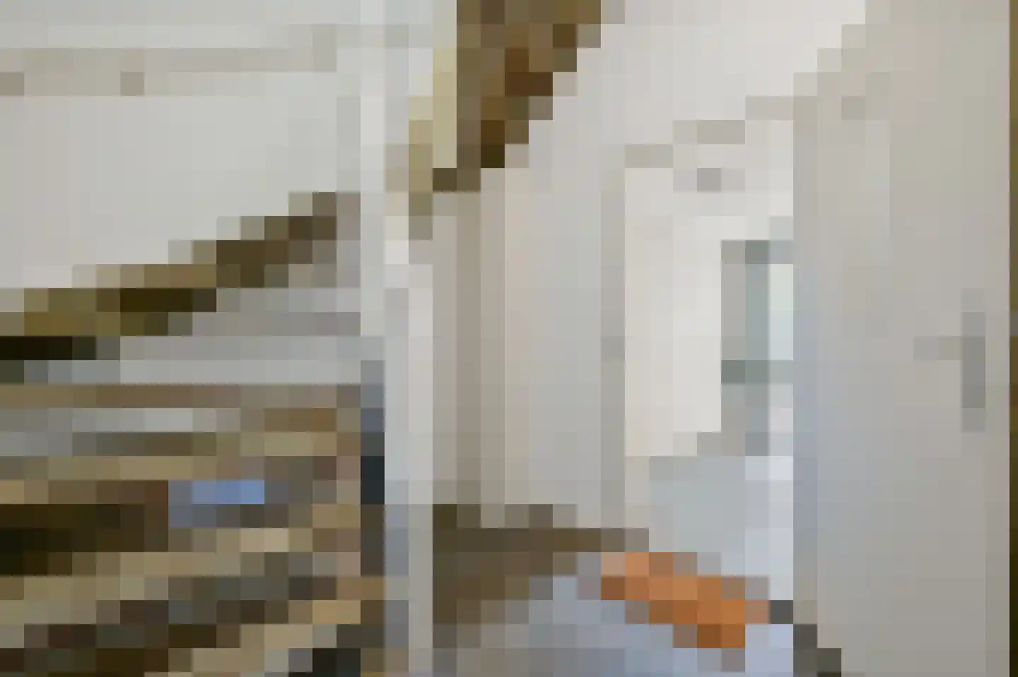 Prins Willemstraat 13 Den Haag thumbnail 6
