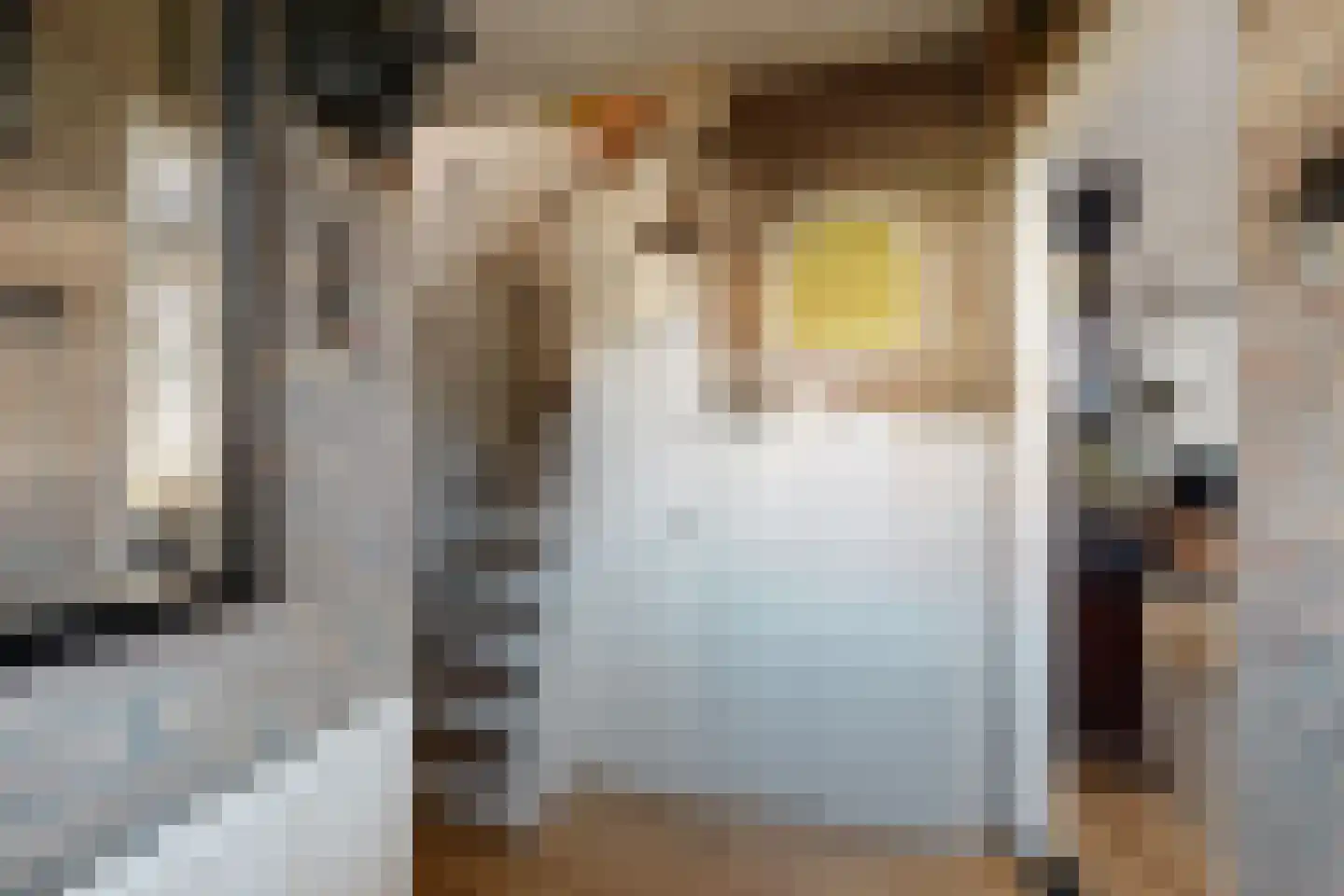 Prins Willemstraat 17 Klundert thumbnail 10