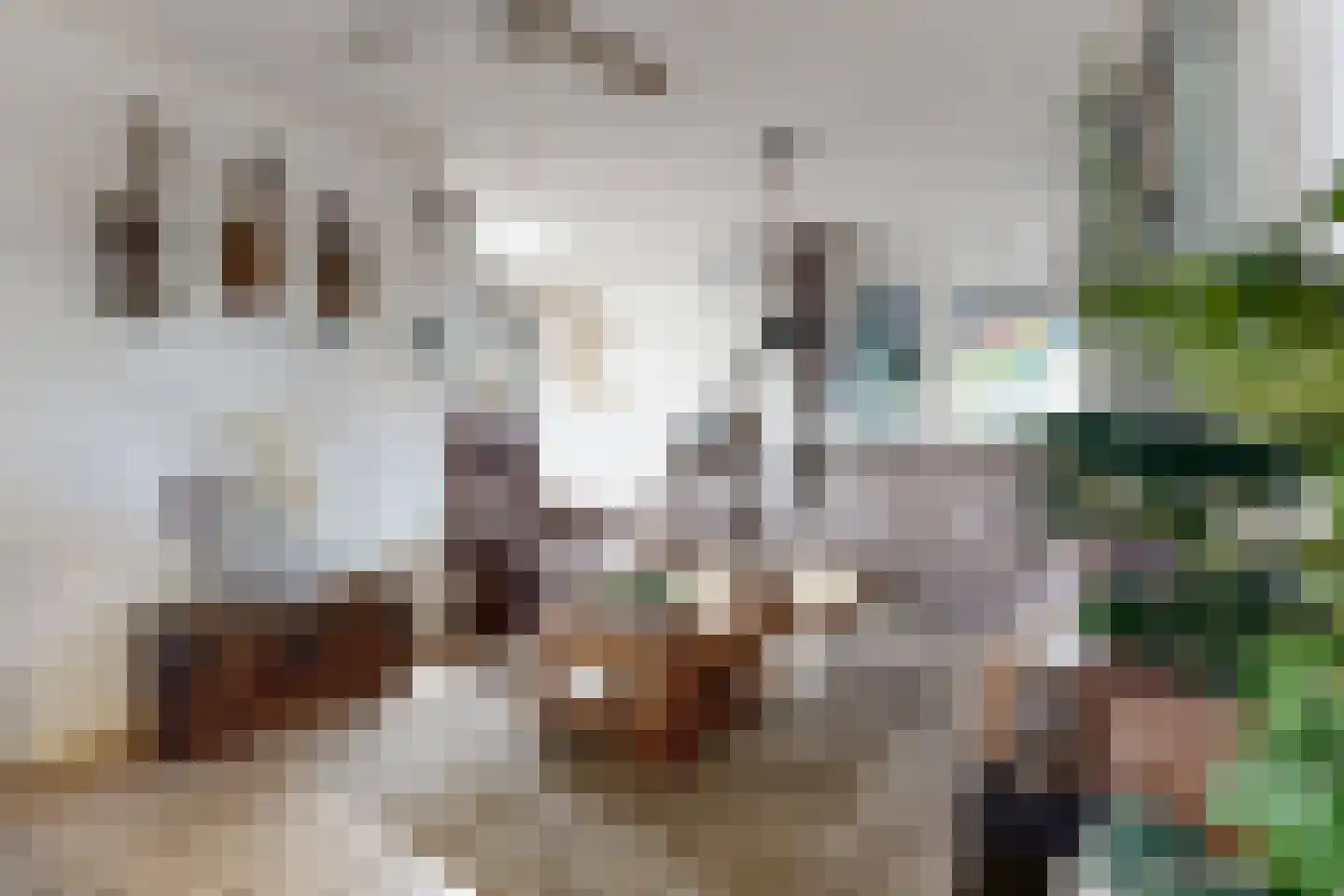 Prins Willemstraat 17 Klundert thumbnail 18