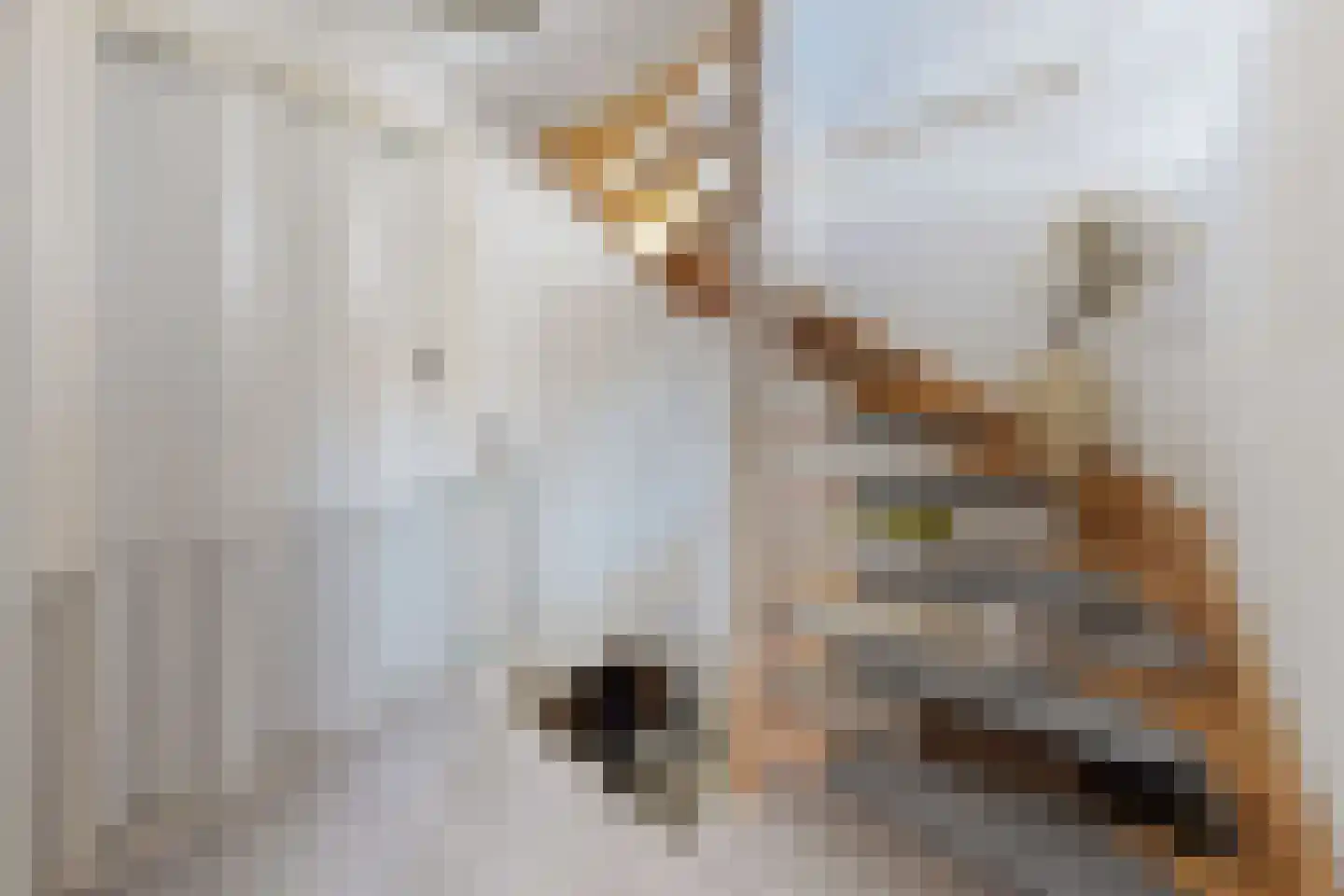 Prins Willemstraat 17 Klundert thumbnail 31