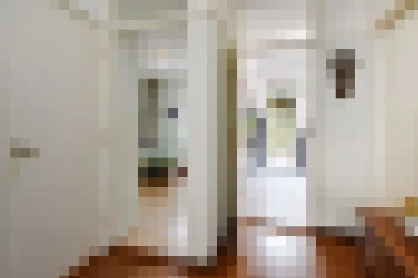 Prins Willemstraat 19 Den Haag thumbnail 17
