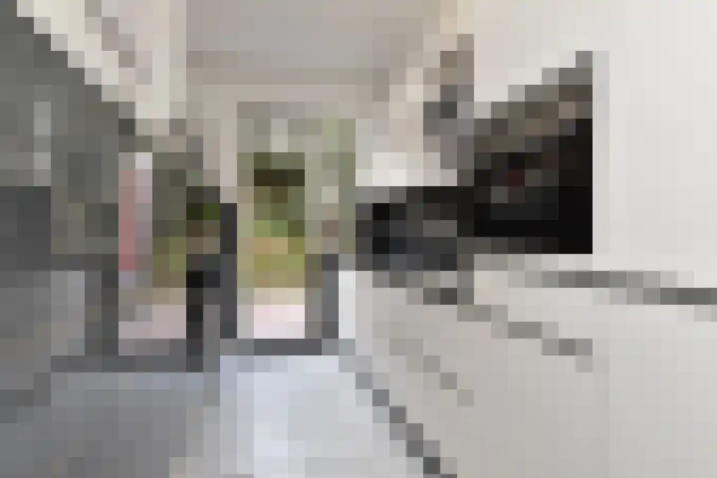 Prins Willemstraat 19 Den Haag thumbnail 24