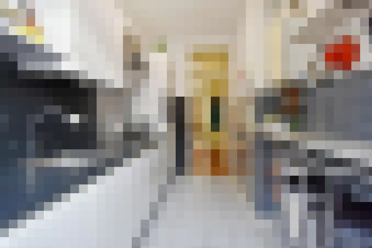 Prins Willemstraat 19 Den Haag thumbnail 26
