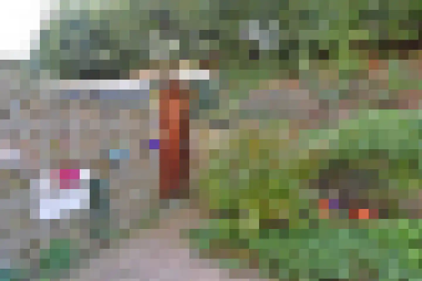Prins Willemstraat 19 Den Haag thumbnail 29