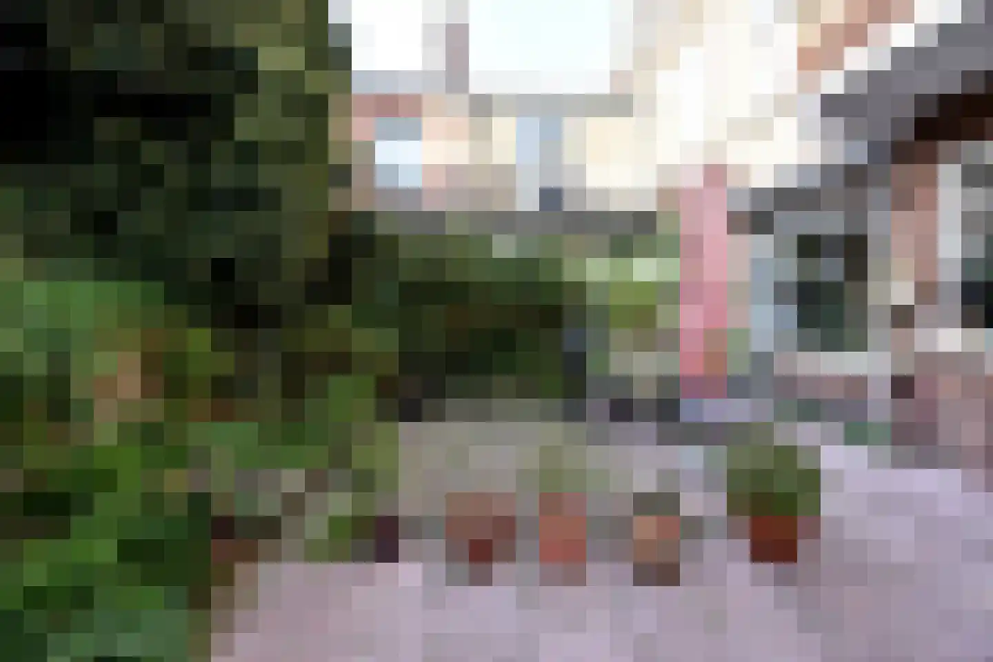 Prins Willemstraat 19 Den Haag thumbnail 30