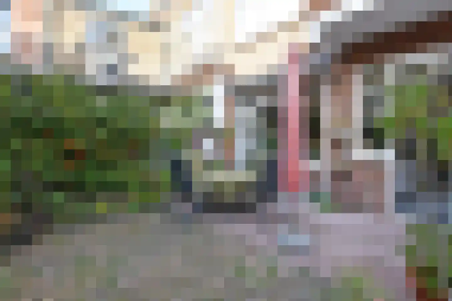 Prins Willemstraat 19 Den Haag thumbnail 31