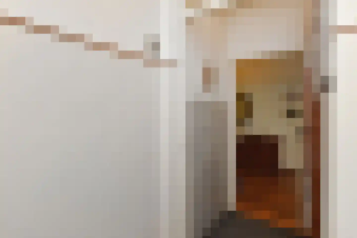 Prins Willemstraat 19 Den Haag thumbnail 5
