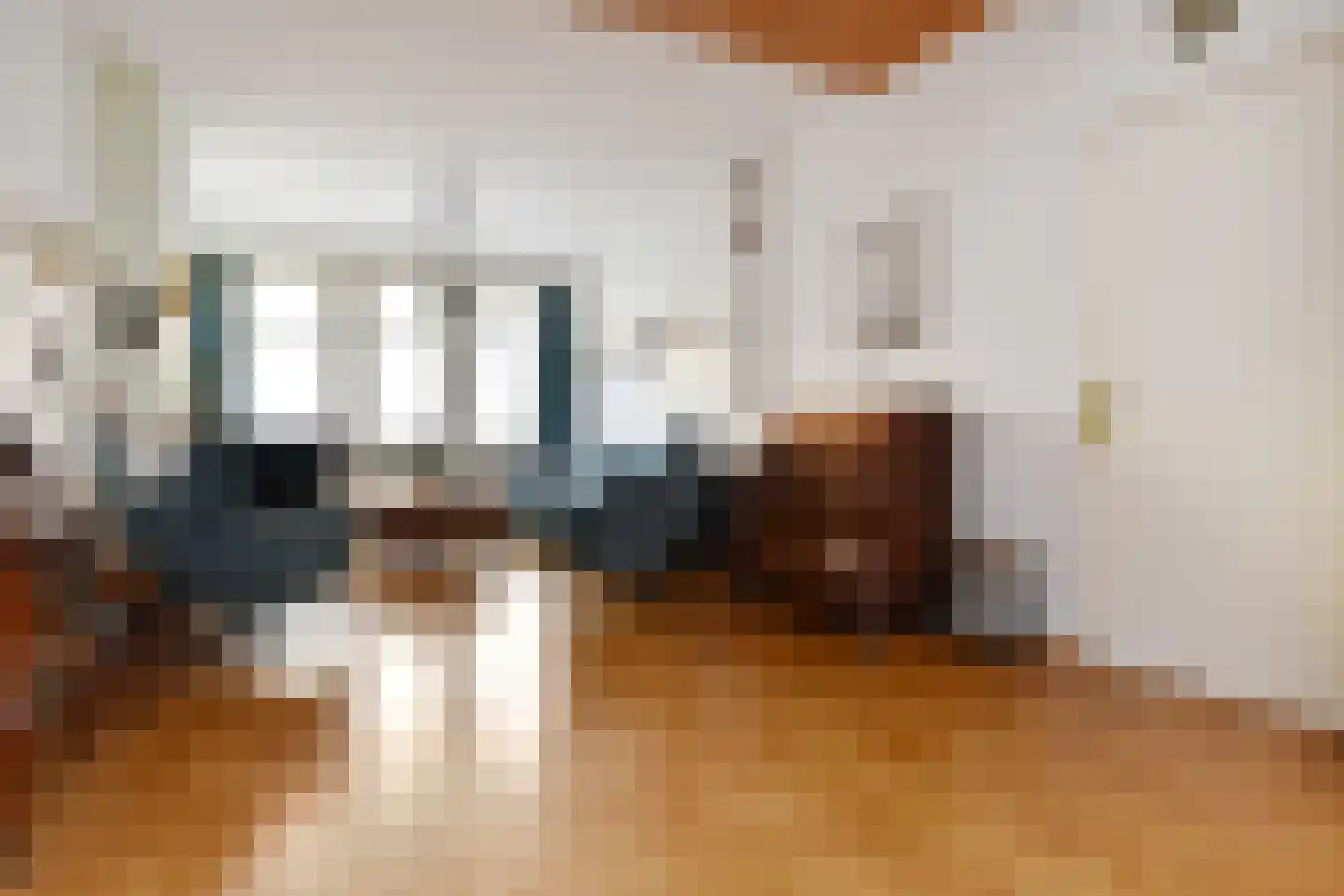 Prins Willemstraat 19 Den Haag thumbnail 7
