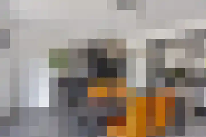 Prins Willemstraat 22 Klundert thumbnail 18