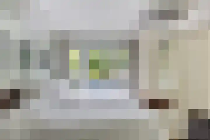 Prins Willemstraat 22 Klundert thumbnail 20