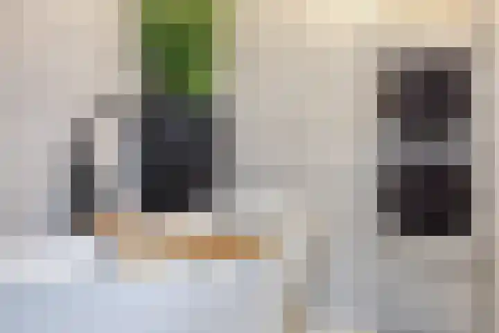 Prins Willemstraat 22 Klundert thumbnail 23