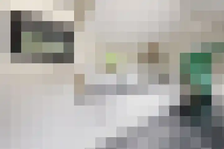 Prins Willemstraat 26 Klundert thumbnail 27