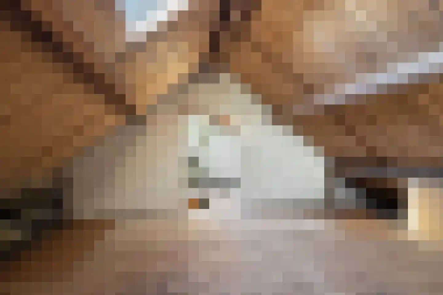 Prins Willemstraat 37 Klundert thumbnail 47