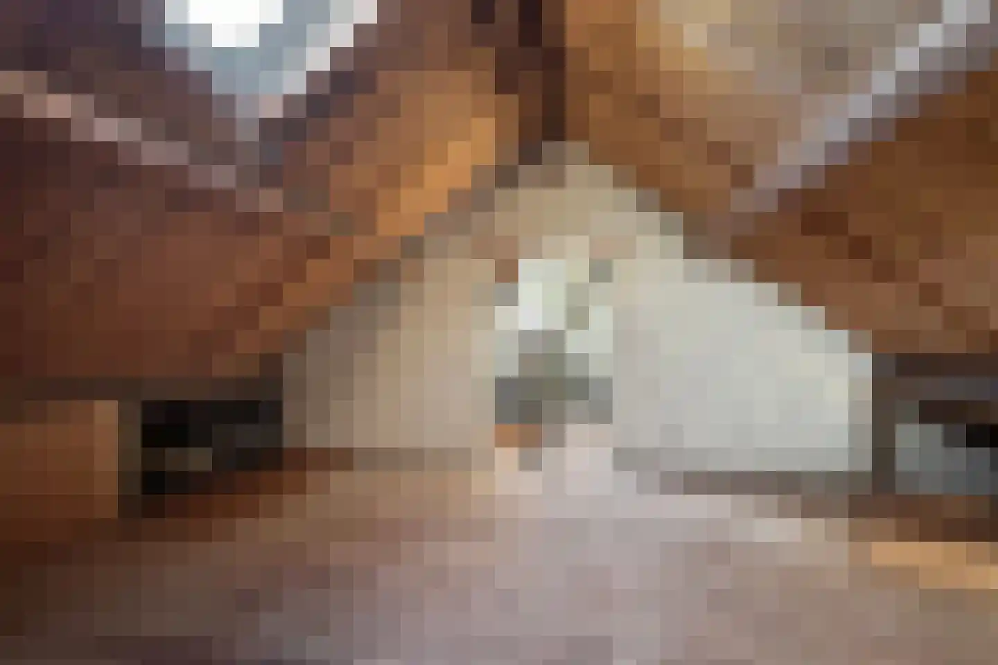 Prins Willemstraat 37 Klundert thumbnail 48