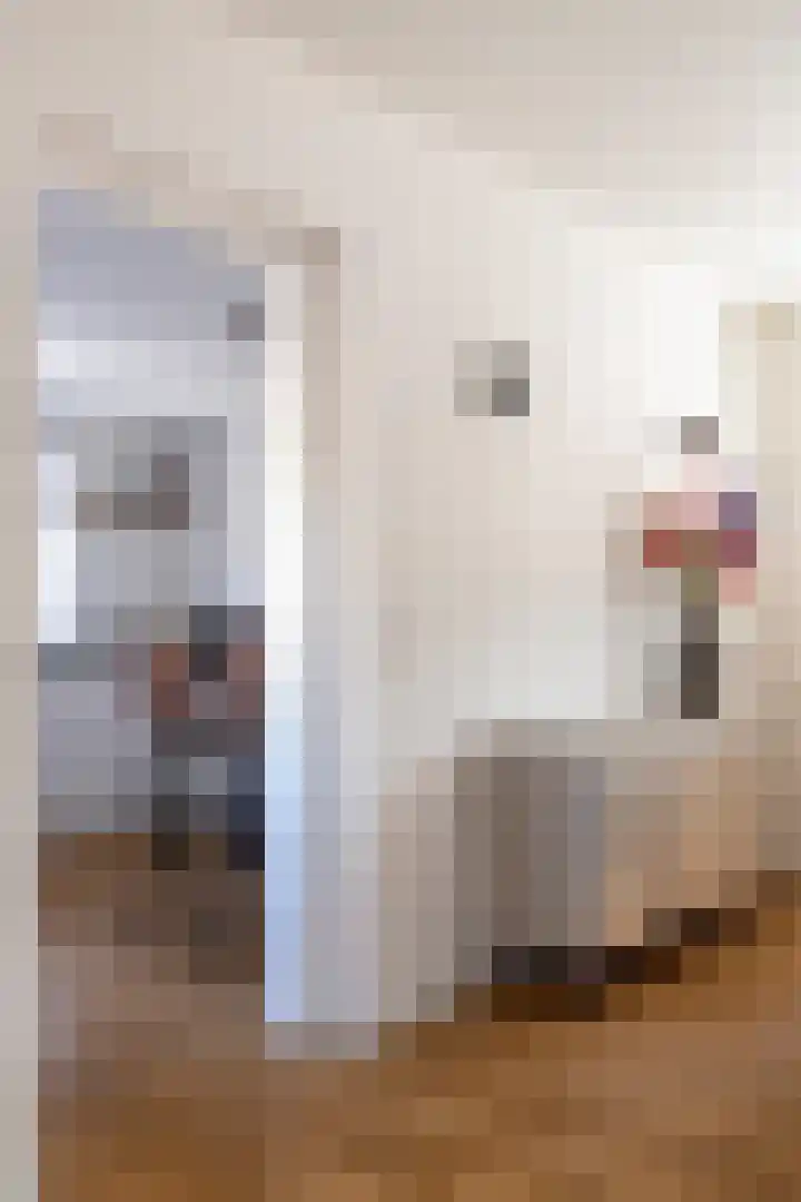 Prins Willemstraat 63 Klundert thumbnail 19