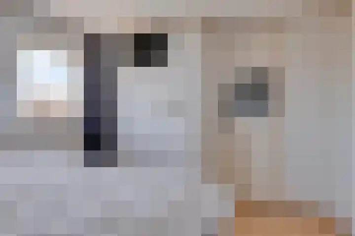 Prins Willemstraat 63 Klundert thumbnail 27