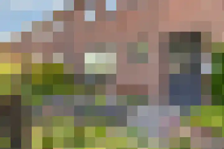 Prins Willemstraat 63 Klundert thumbnail 43