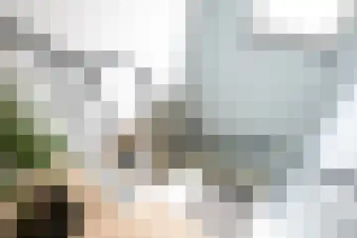 Prinsbisdomstraat 16 Born thumbnail 16