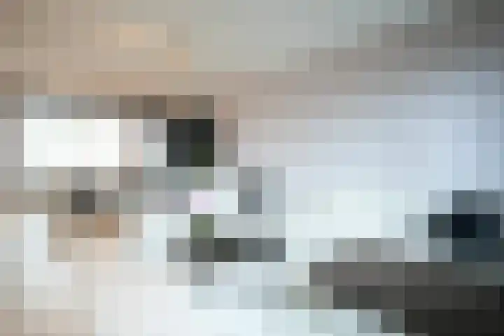 Prinsbisdomstraat 16 Born thumbnail 4