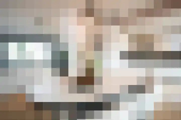 Prinsbisdomstraat 16 Born thumbnail 7