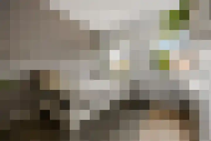 Prinsbisdomstraat 48 B Born thumbnail 25