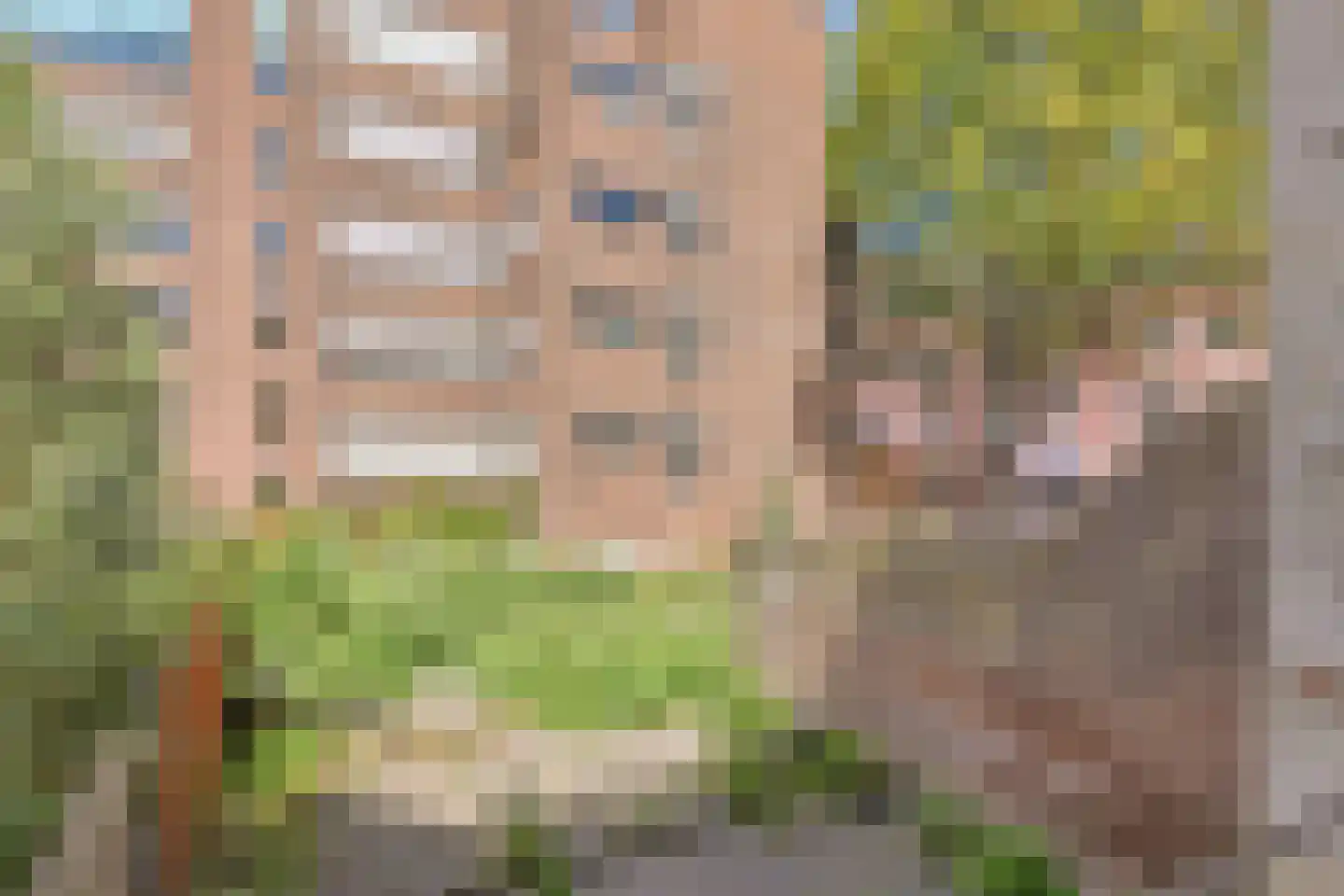 Prinsegracht 17 Den Haag thumbnail 18