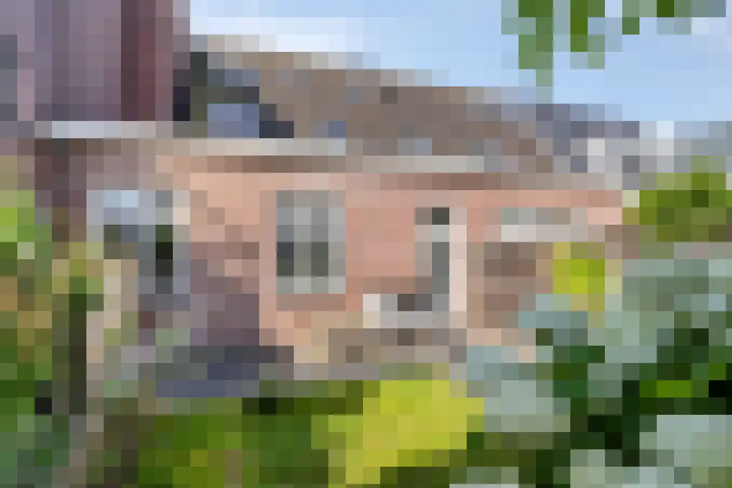 Prinsegracht 3 Honselersdijk thumbnail 48
