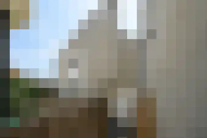 Prinsegracht 30 3 in Den Haag