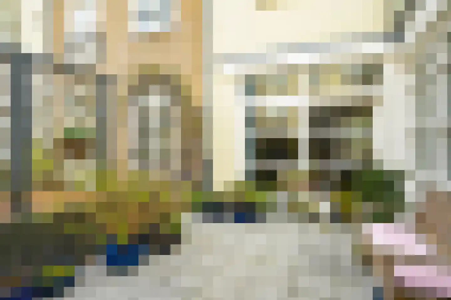 Prinsegracht 43 Den Haag thumbnail 40