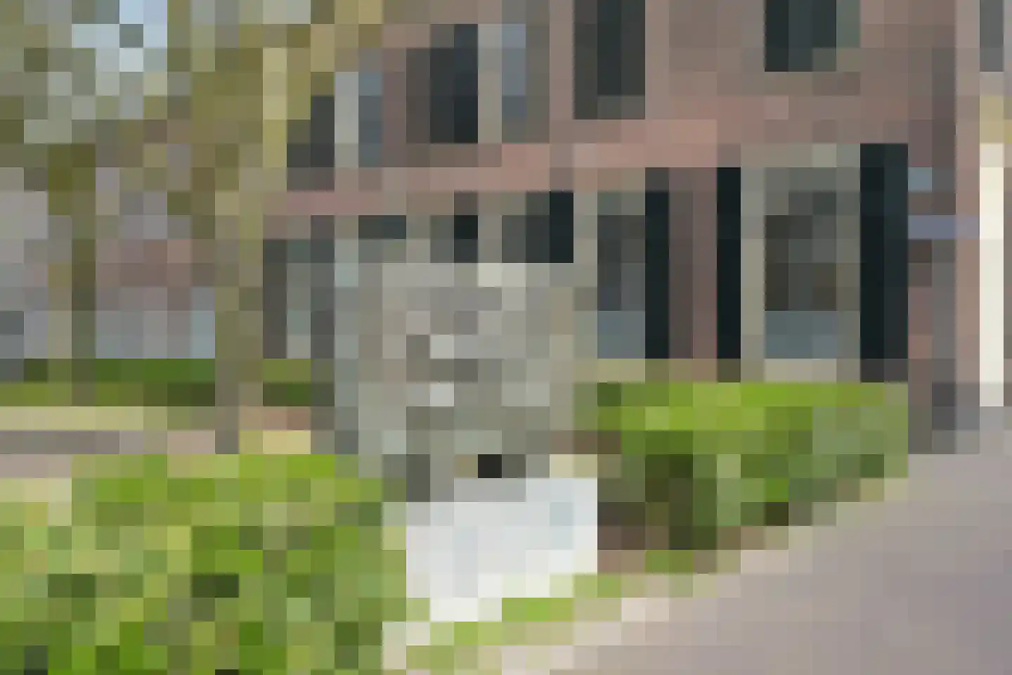 Prinsegracht 43 Den Haag thumbnail 53