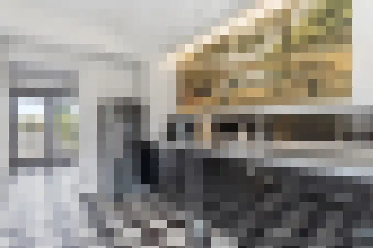 Prinsegracht 47 E Den Haag thumbnail 19