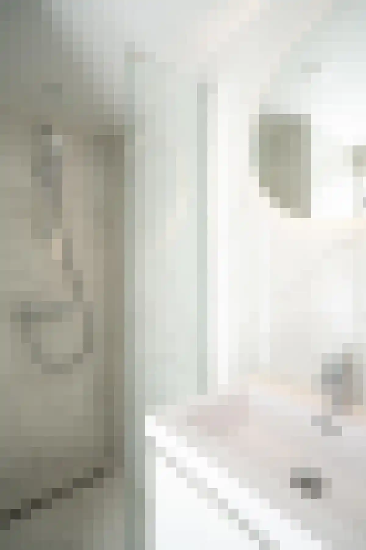 Prinsegracht 69 Den Haag thumbnail 6