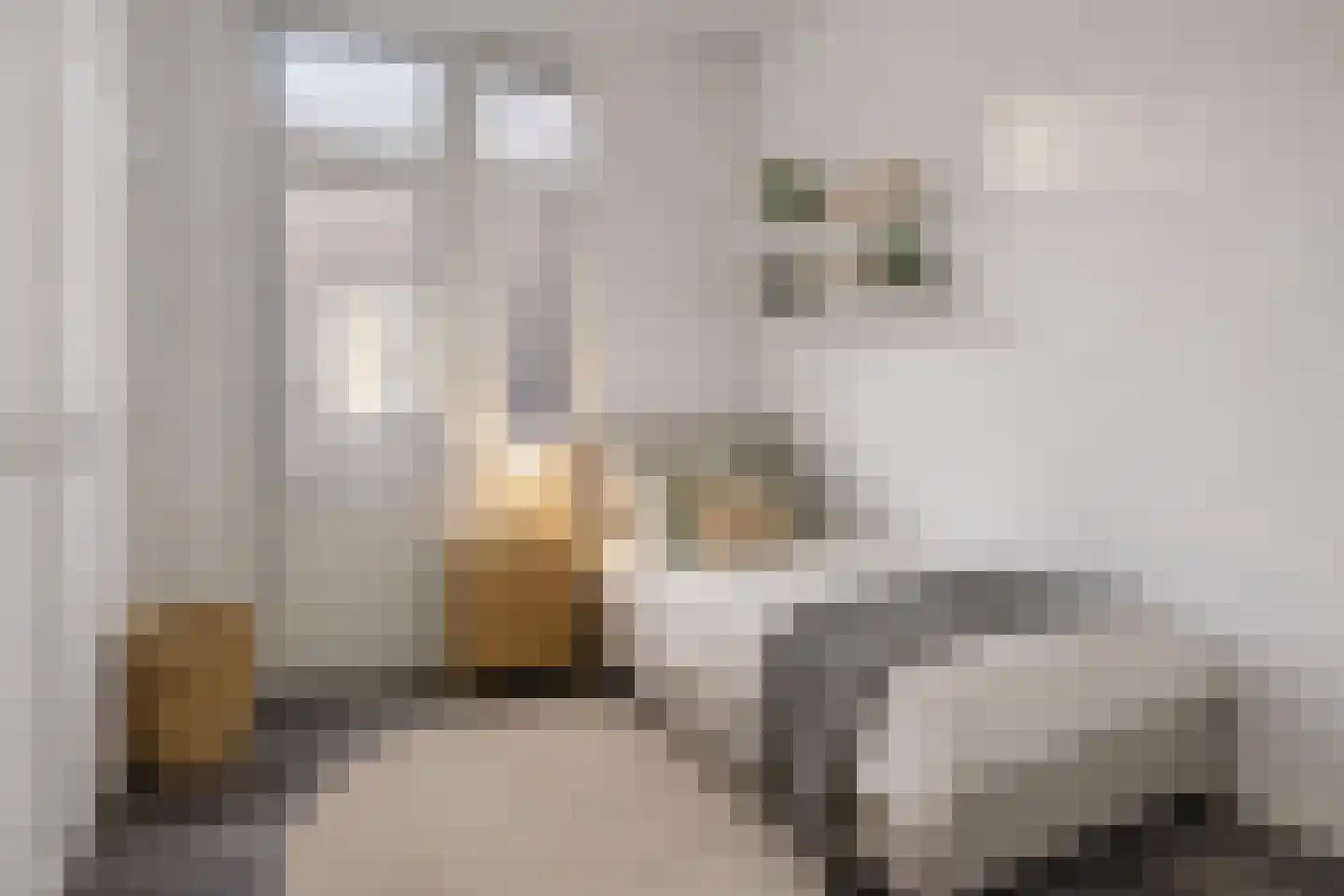 Prinsegracht 78 C Den Haag foto 3