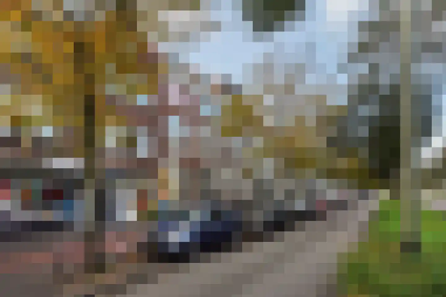 Prinsegracht 80 Den Haag thumbnail 8