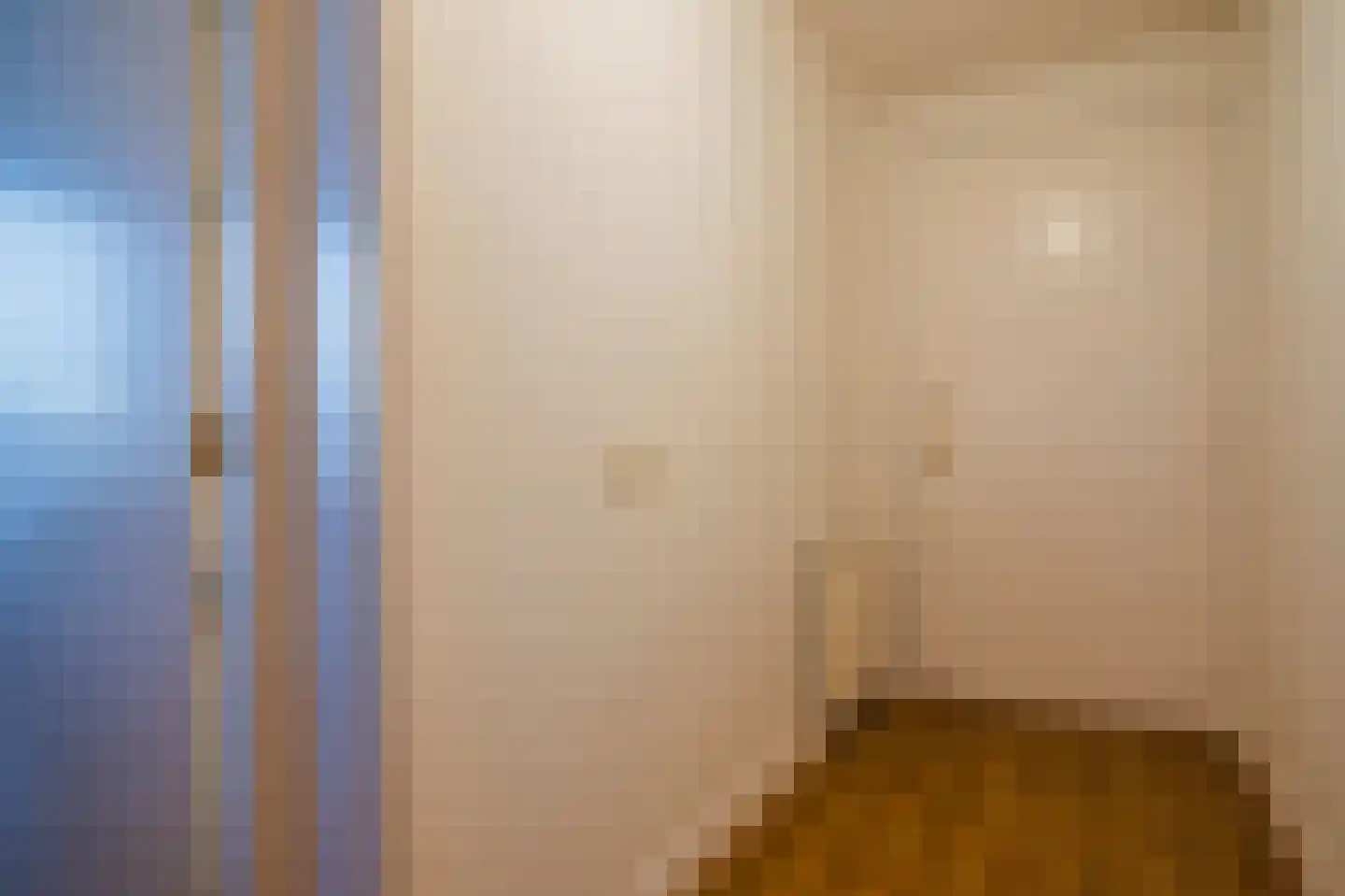 Prinsegracht 87 Den Haag thumbnail 6