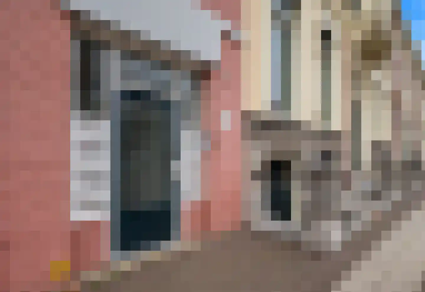 Prinsegracht 9 Den Haag thumbnail 6