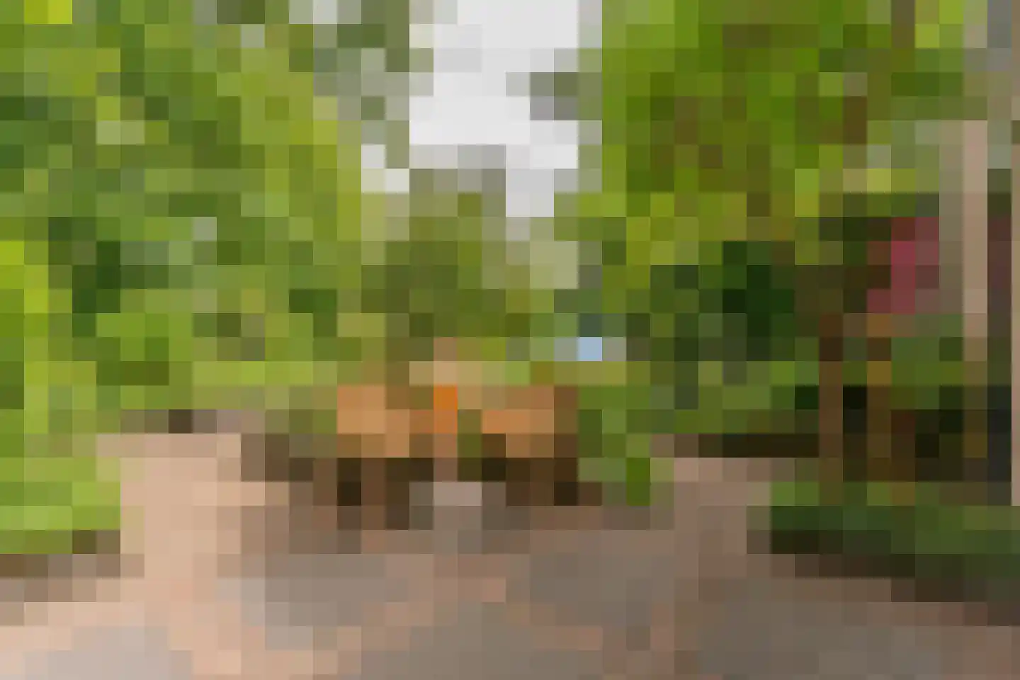 Prinseheuvellaan 24 Maarn thumbnail 20