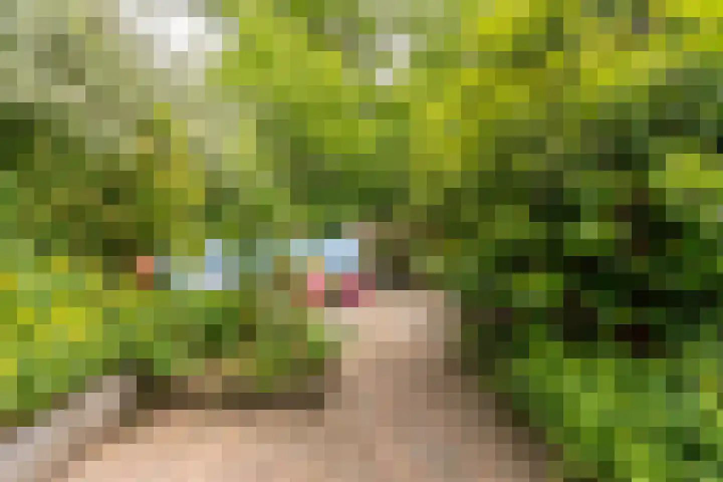 Prinseheuvellaan 24 Maarn thumbnail 21