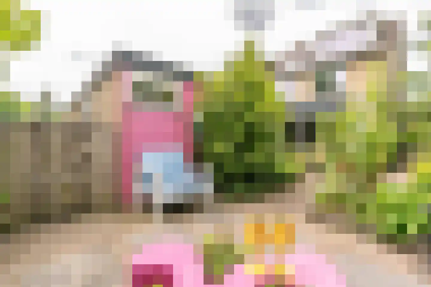 Prinseheuvellaan 24 Maarn thumbnail 23