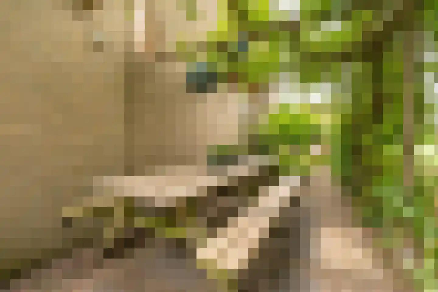 Prinseheuvellaan 24 Maarn thumbnail 25